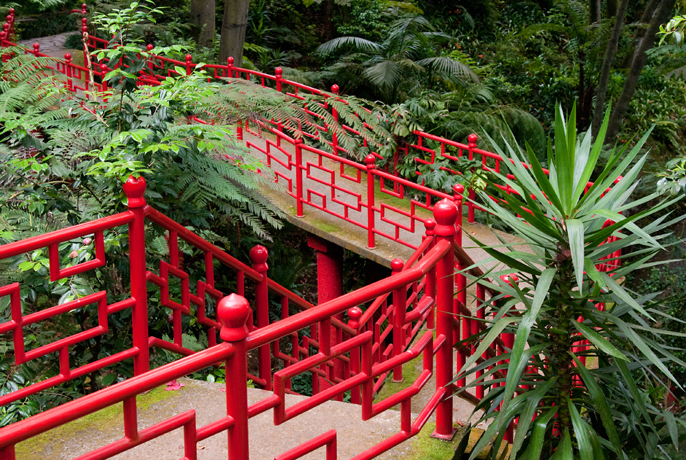 273_Madera_Jardim Tropical Monte Palace.jpg